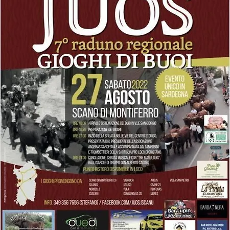 Appartamento-l'elicriso *