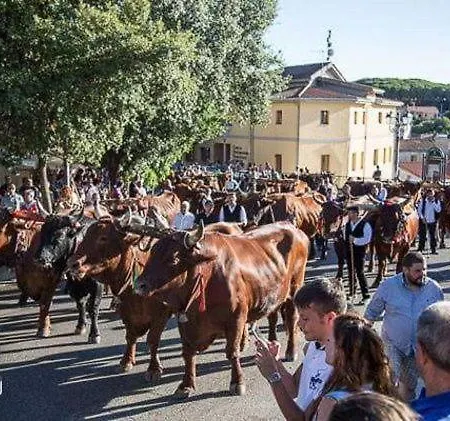 Appartamento-l'elicriso 公寓