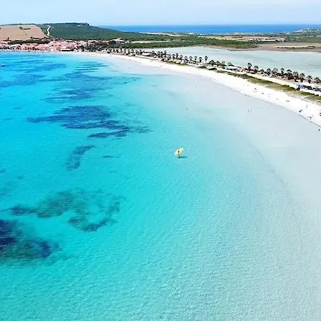 Appartamento Appartamento-l'elicriso *